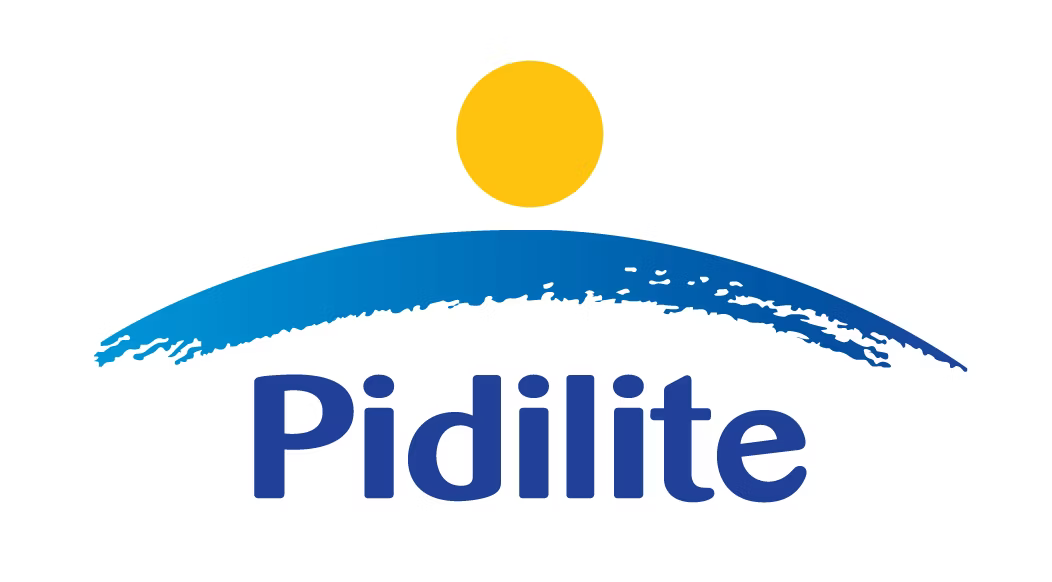 Pidilite Adhesive